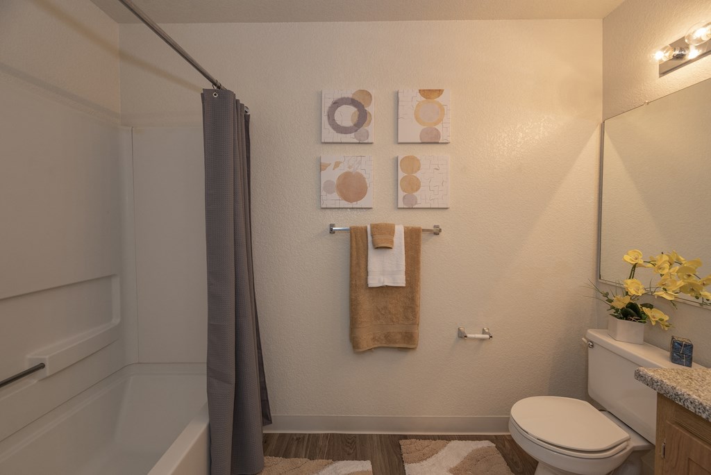 Canterbury Downs model bathroom, Roseville, CA, 95678