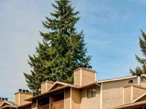 Chambers Creek Building Exterior & Parking Lot - Photo Gallery 2