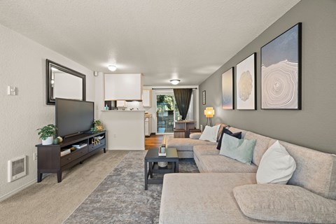A living room with a grey couch and a television.