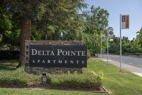 Delta Pointe apartments monument sign and street flags