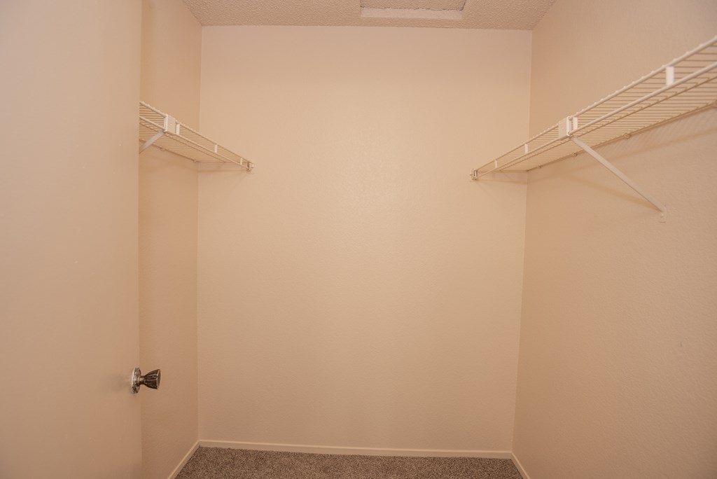 3x2 vacant primary bedroom walk in closet at Delta Pointe Apartments, CA 95833