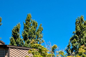 Hunt Club Apartments Building Exterior Patios & Decks - Photo Gallery 3