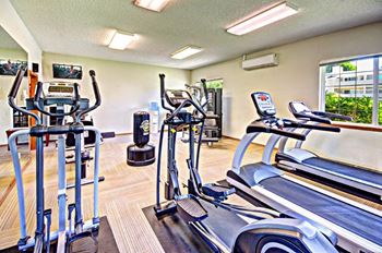 Maple Pointe Fitness Center Cardio Equipment