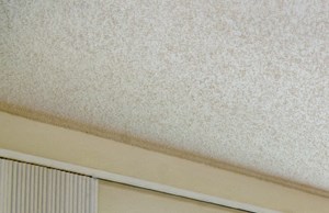 Maple Pointe Vacant Apartment Living Room & Patio Sliding Door - Photo Gallery