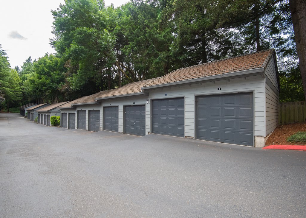 Martinazzi Village Detached Garages