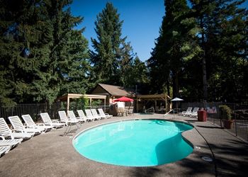 Martinazzi Village Pool & Lounge Chairs