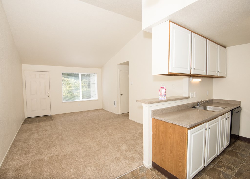Martinazzi Village Vacant Kitchen