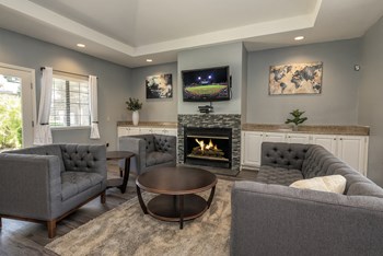 Pepperwood Clubhouse Lounge with Fireplace and TV - Photo Gallery 4