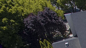 Exterior Amenities Aerial Shot Exterior Amenities Aerial Shot at River Pointe, California, 95833