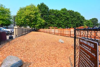 Riverwood bark park outdoor pet area