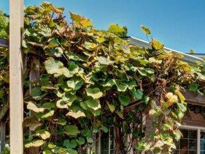 Riverwood Clubhouse Exterior & Floral Landscaping - Photo Gallery 2