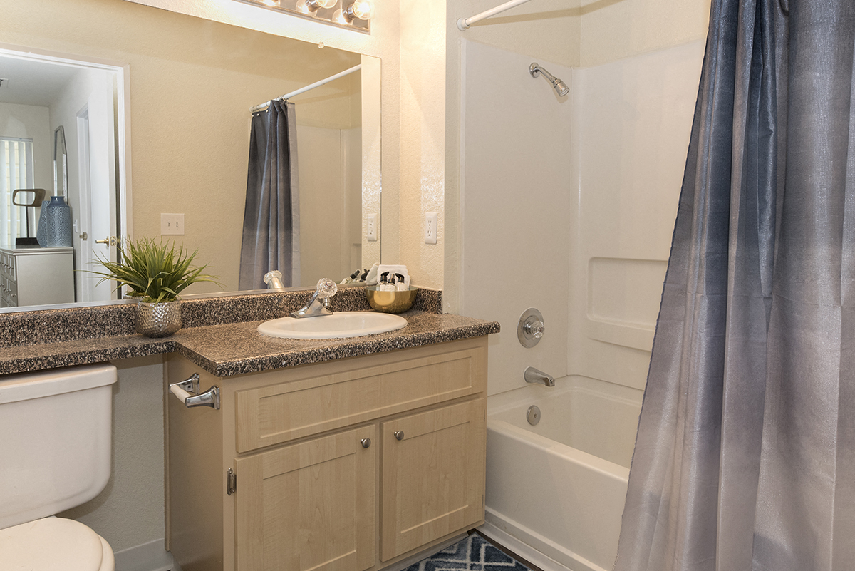 Rocklin Gold Model Second Bathroom