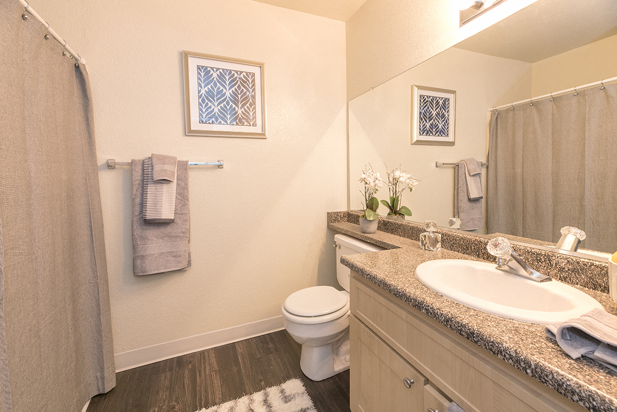 Rocklin Gold Model Upgraded Bathroom