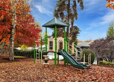 Playground at Rolling Hills Apartments, Oregon
