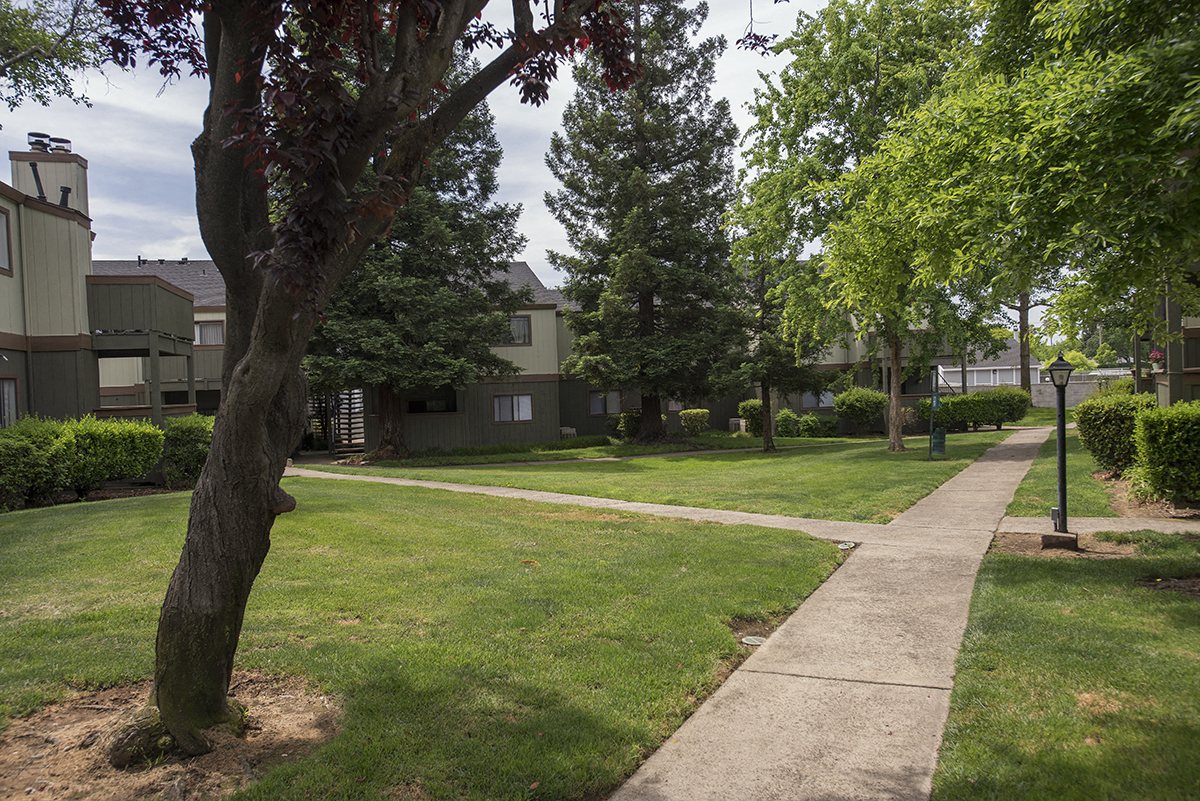 Sierra Glen Community Path
