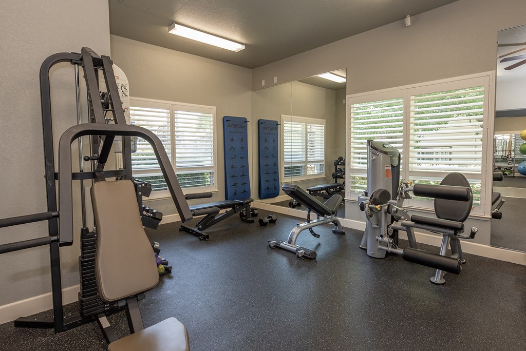 Stoneridge Fitness Center strength machines