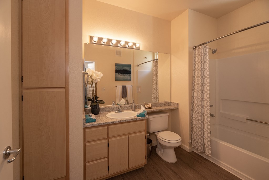 Stoneridge model 1 hall bathroom