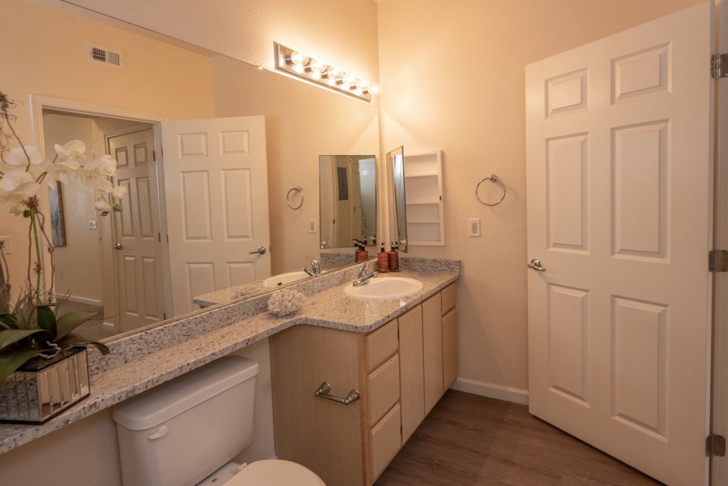 Stoneridge model 1 primary bathroom