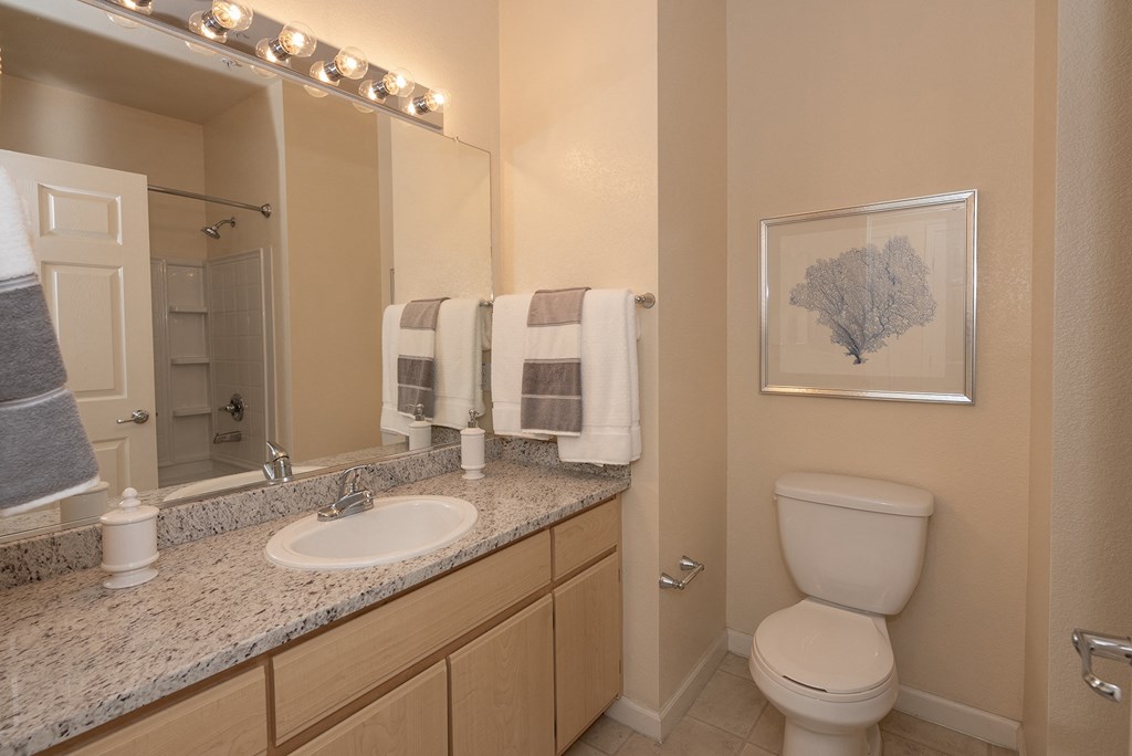 Stoneridge model 2 primary bathroom