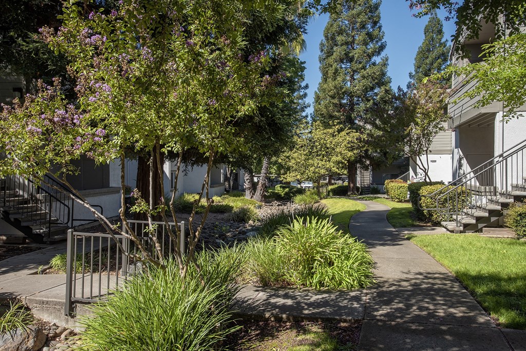 Between buildings greenery at Sunset Summit, Rocklin, CA 95765