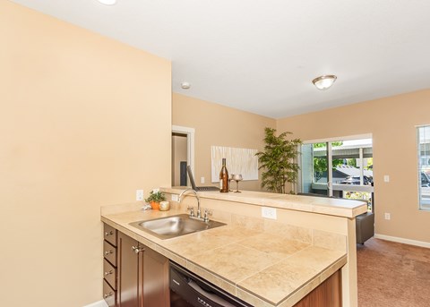 A kitchen with a sink and a counter.
