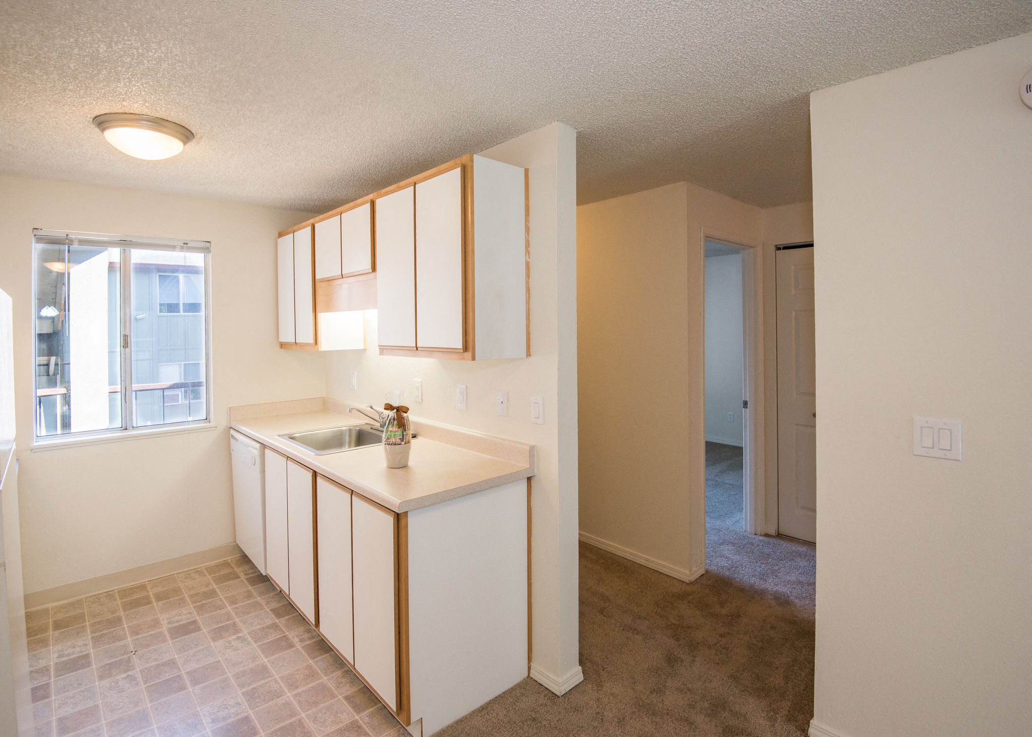 Vacant Upgraded Apartment Kitchen & Window at Todd Village Apartments, Tualatin