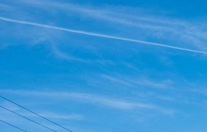 Cedar Lane Garden Glen Apartments In Portland Or