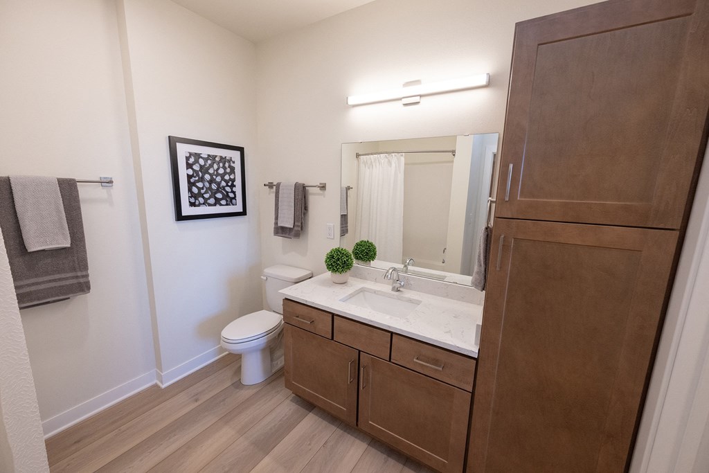 a bathroom with a sink and a toilet and a mirror