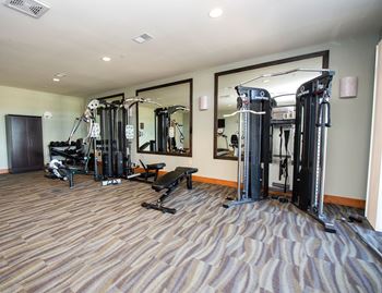 a gym with weights and cardio equipment in a room with mirrors