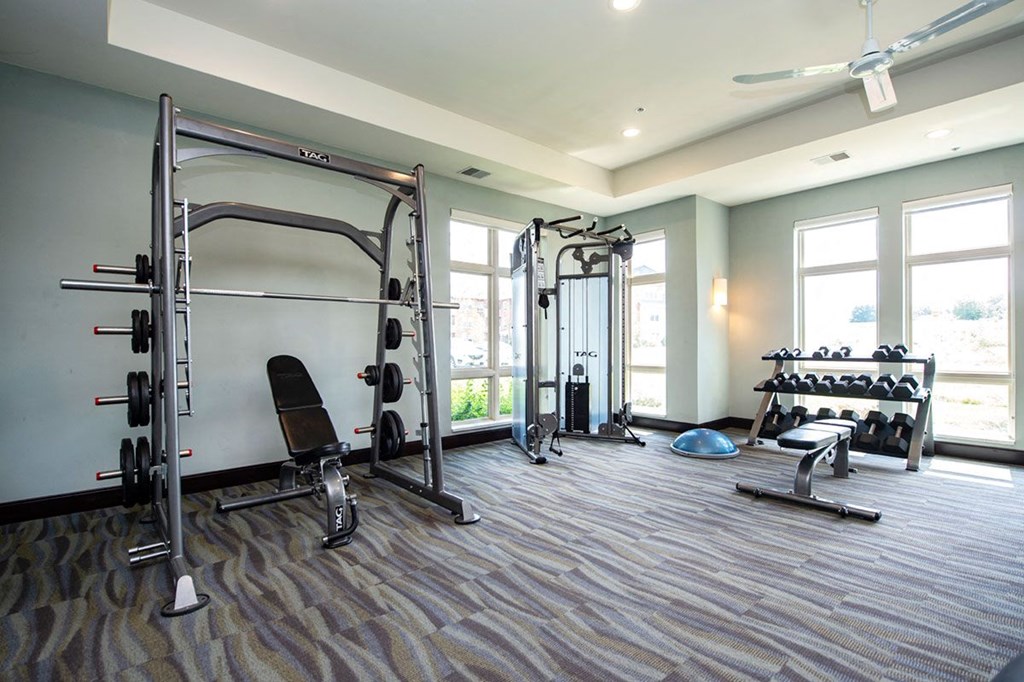 the gym in the owners suite is equipped with weights and other exercise equipment