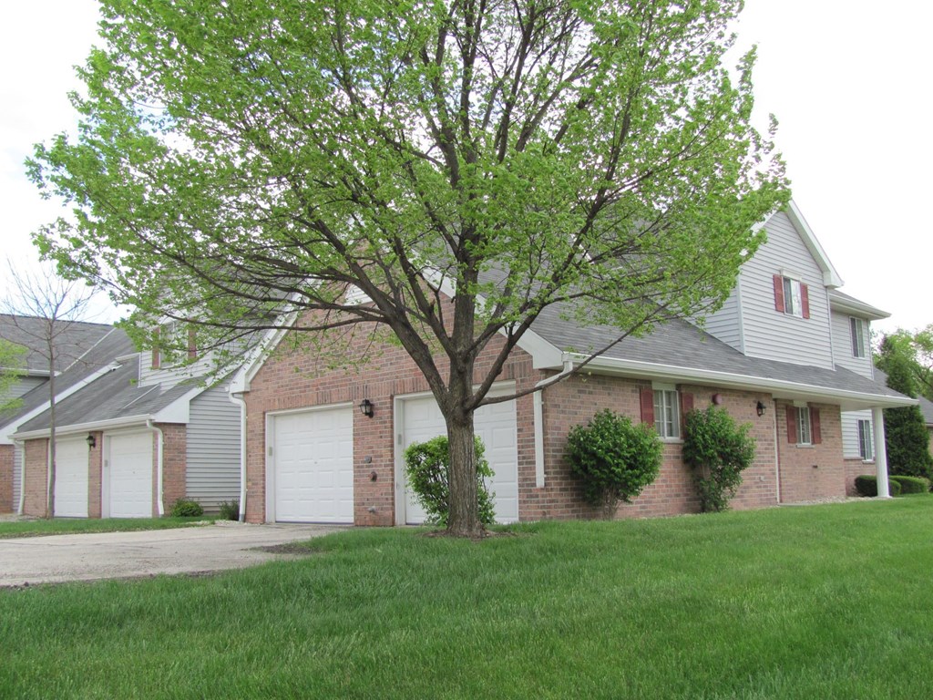 A tree in front of a house with a grey roof.