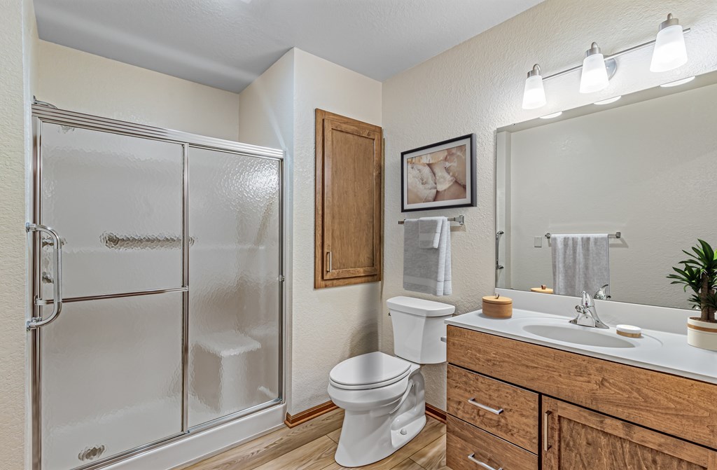 A bathroom with a white toilet, a white sink, a glass shower door, and a wooden medicine cabinet.