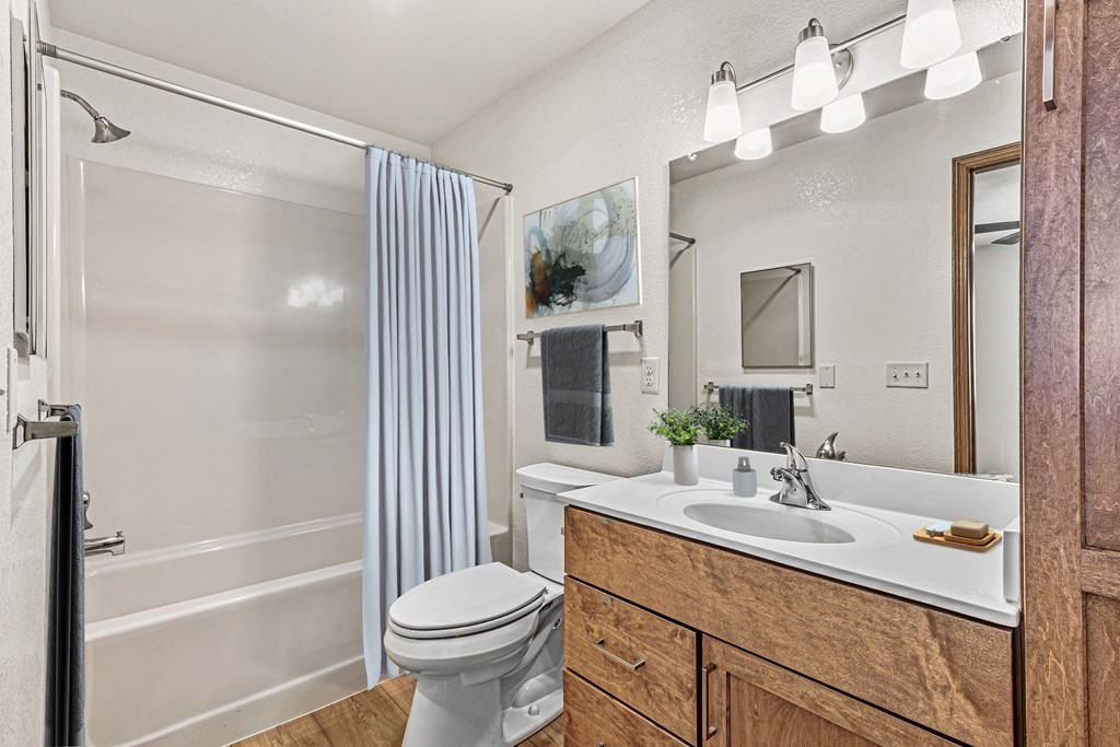 A bathroom with a white toilet, a sink, and a shower.
