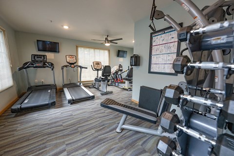 A well equipped gym with treadmills, elliptical machines, and dumbbells.