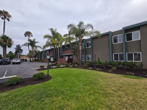 A parking lot with a building and palm trees in front.