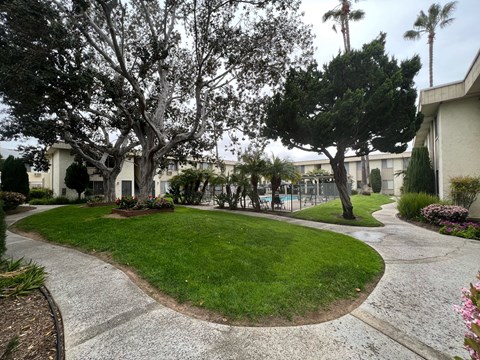 Beautiful trees, walkways and pool area at IKARIA Apartments in Santee, California.