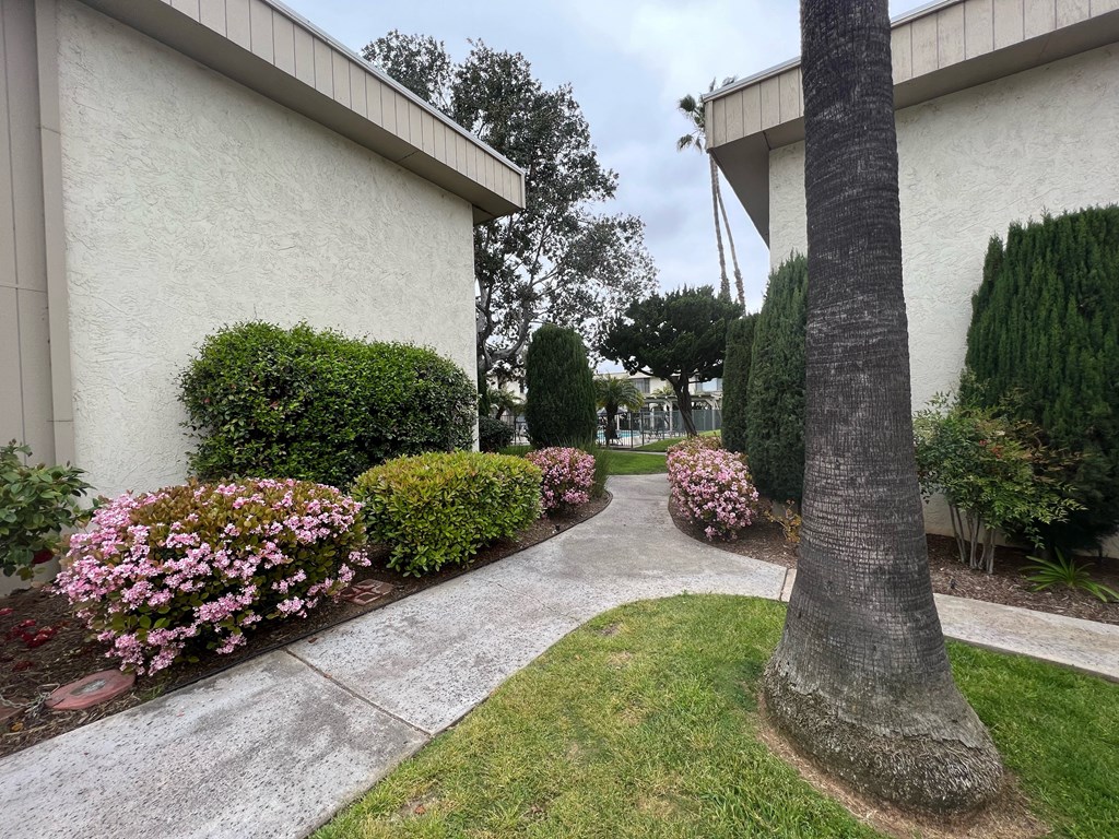 Mature well cared for landscaping at IKARIA Apartments in Santee, California.