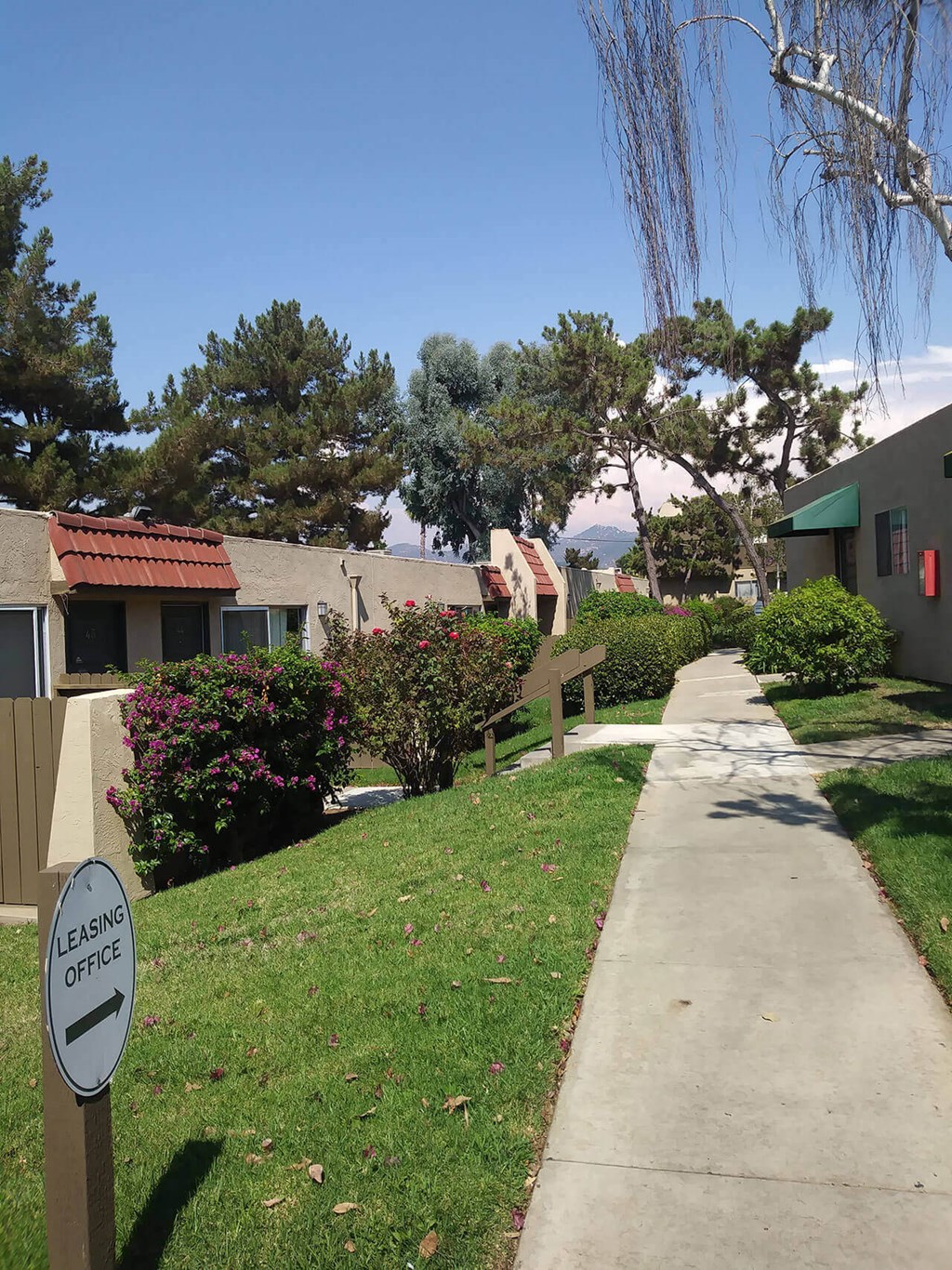 Beautifully landscaped walkways between buildings at Teton Pines Apartments in Escondido, California.