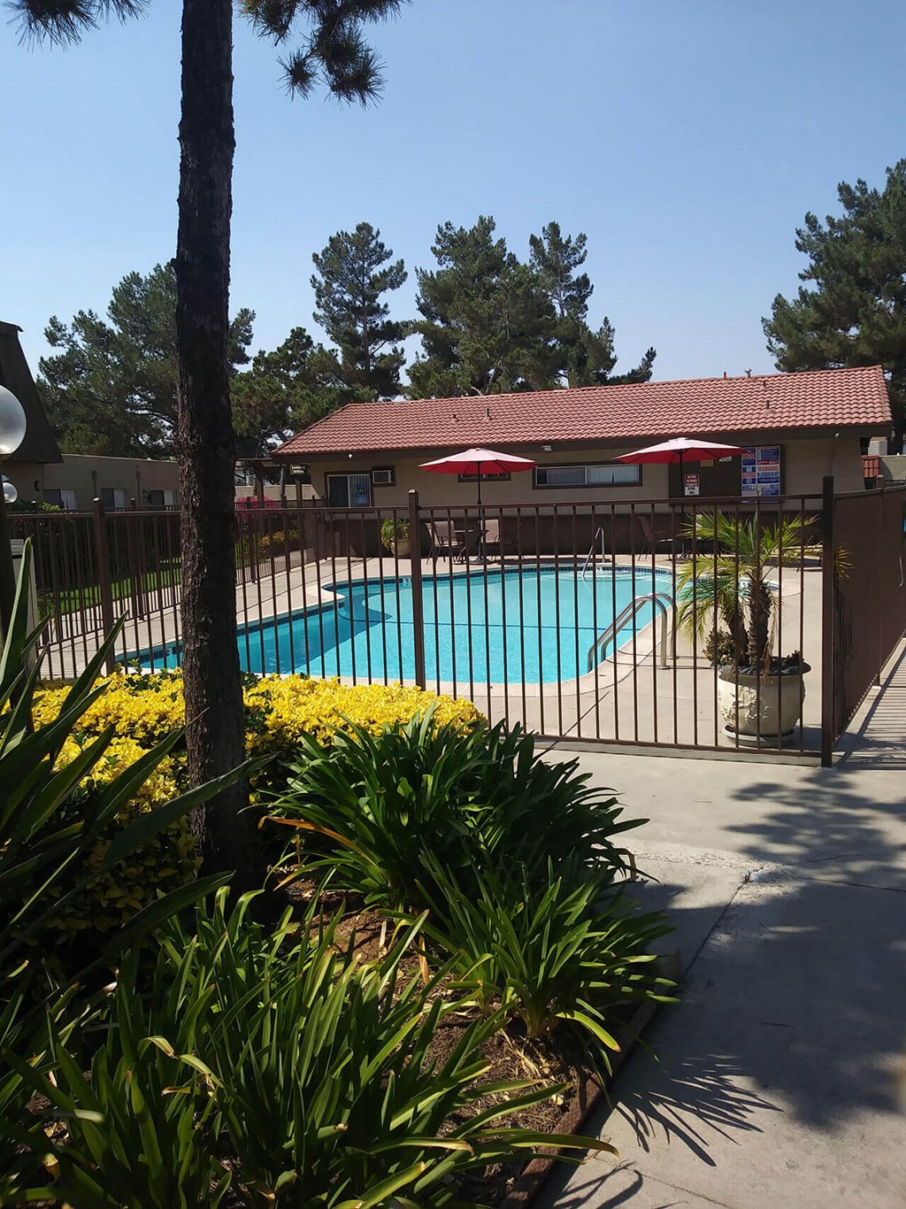 Swimming pool and sun deck at Teton Pines Apartments in Escondido, California.