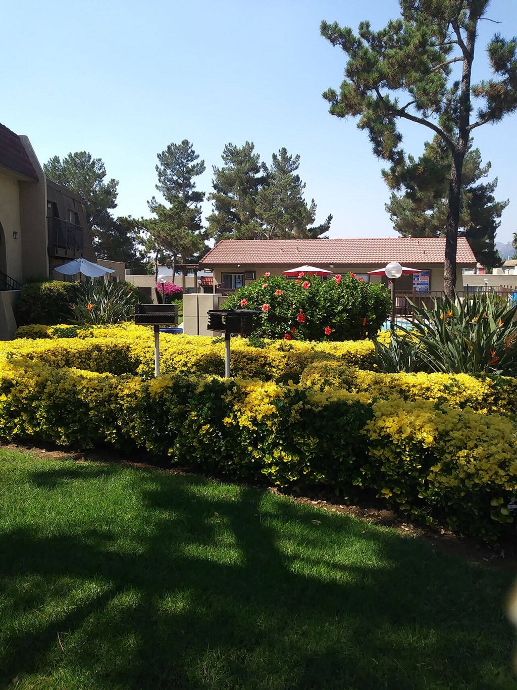 Barbeques and swimming pool surounded by beautiful gardens at Teton Pine Apartments in Escondido, California.