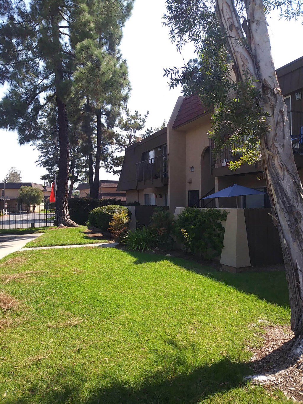 Private porches and stately pine trees at Teton Pines Apartments in Escondido, California.