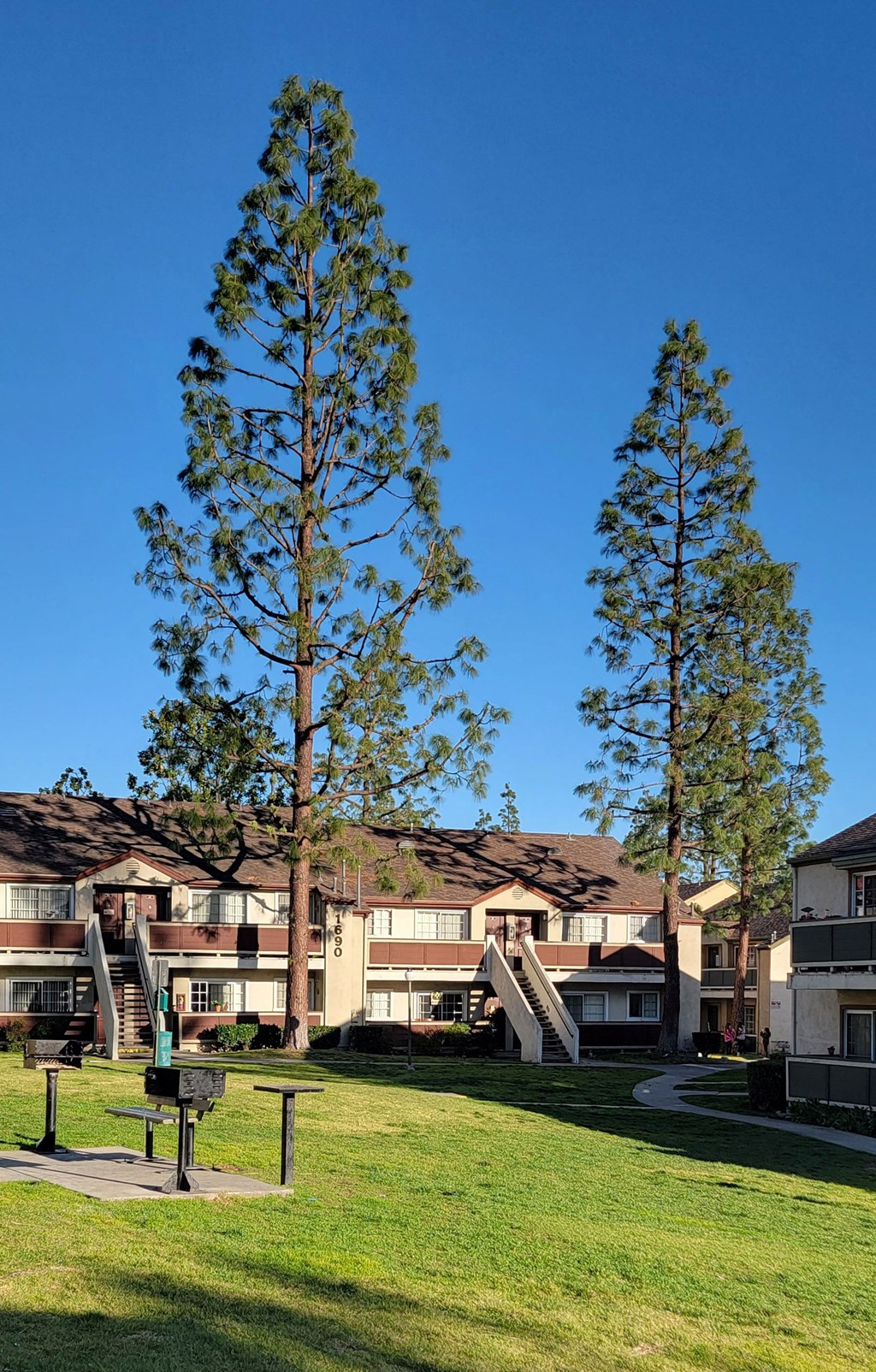 Large open area with mature trees and picnic stations at Northwood Apartments in Upland, California.
