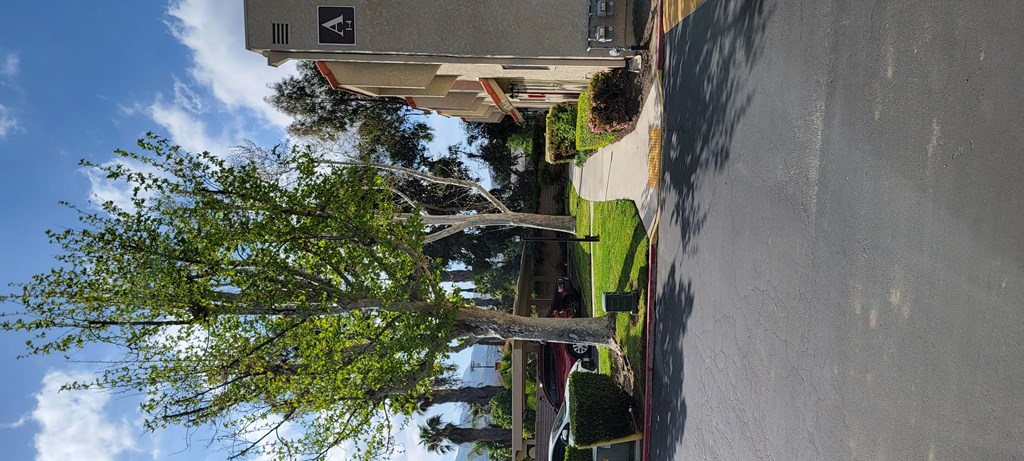 Beautiful trees, blue sky and mountain views at Sierra Vista Apartment Homes in Lake Elsinore, California.