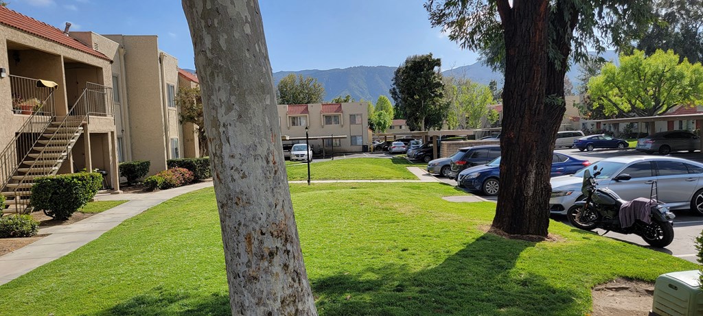Mature trees and great mountain views at Sierra Vista Apartment Homes in Lake Elsinore, California.