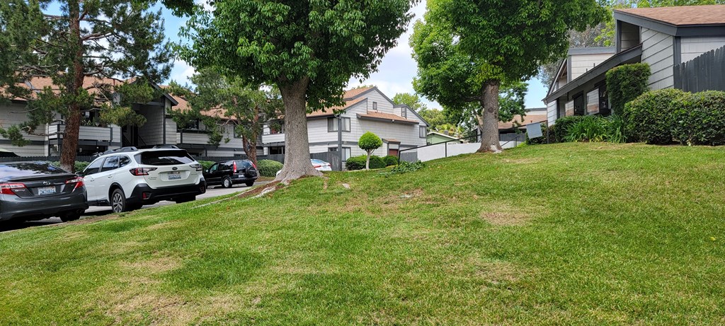 Sylvan landscaping at Dove Ridge Apartments in Riverside, CA.