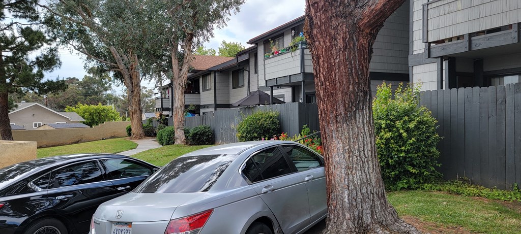 Apartment buildings surrounded by hills and mature trees at Dove Ridge Apartments.