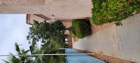 a walkway with a pool and plants on the side of a building