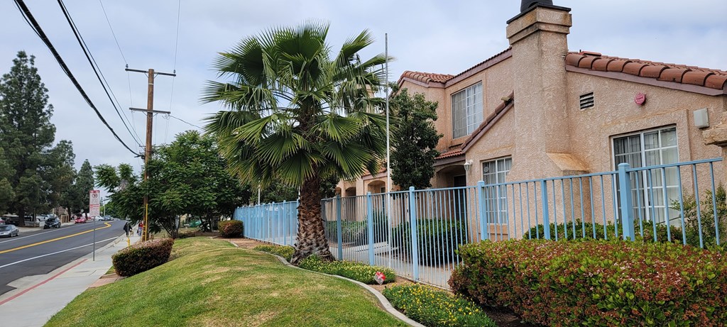 Street view of Palos Verdes Village Townhomes with palm trees and meticulous landscaping.
