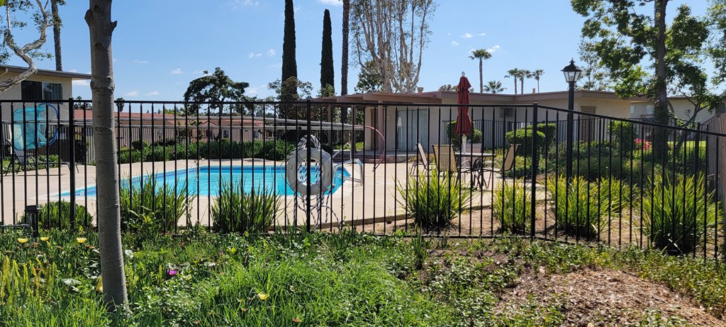 View of swimming pool and sun deck with surrounding lush landscaping at Plaza Verde Apartments in Escondido, California.