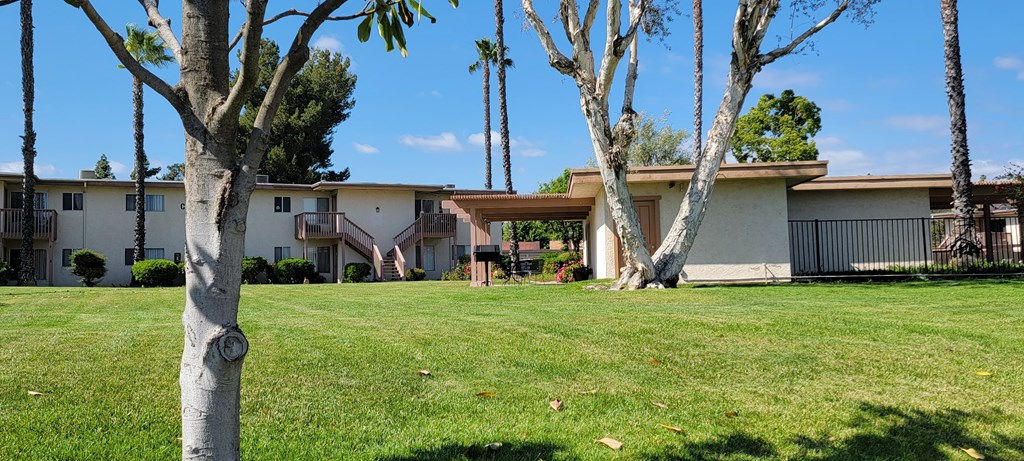 Nice grassy lawn area with pergola padio picnic area outside recreation center and swimming pool at Plaza Verde Apartments in Escondido, California.